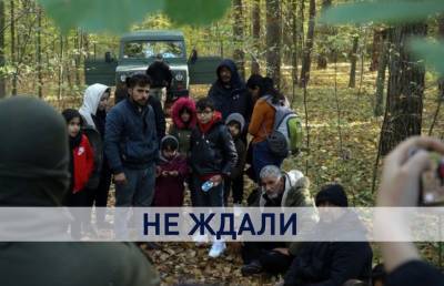 Александр Лукашенко - Избивают, травят перцовым газом и выталкивают в Беларусь: как Польша и Литва издеваются над мигрантами? Шокирующие кадры - ont.by - Белоруссия - Германия - Франция - Польша - Литва - Вильнюс - Варшава