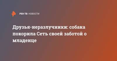 Друзья-неразлучники: собака покорила Сеть своей заботой о младенце - ren.tv