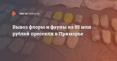 Вывоз флоры и фауны на 85 млн рублей пресекли в Приморье - ren.tv - Китай - Приморье край