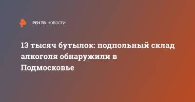 13 тысяч бутылок: подпольный склад алкоголя обнаружили в Подмосковье - ren.tv - Россия - Московская обл. - Подольск - Московская область
