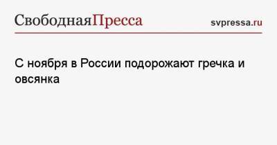 С ноября в России подорожают гречка и овсянка - svpressa.ru - Россия - Алтайский край