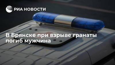 В Брянске погиб мужчина от взрыва гранаты в квартире одного из домов - ria.ru - Россия - Брянск - Ярославль