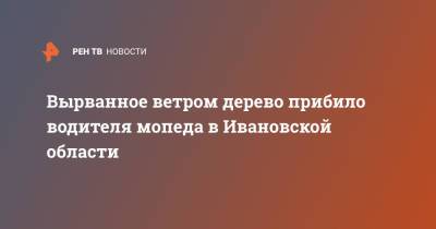 Вырванное ветром дерево прибило водителя мопеда в Ивановской области - ren.tv - Россия - Ивановская обл.