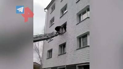 В Иркутской области четырех детей заперли на несколько дней в квартире - iz.ru - Иркутская обл. - Израиль