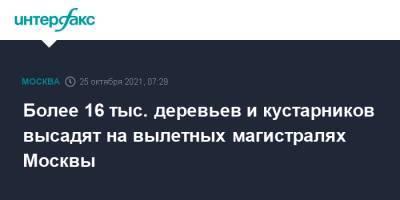 Петр Бирюков - Более 16 тыс. деревьев и кустарников высадят на вылетных магистралях Москвы - interfax.ru - Москва