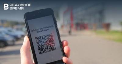 Калмыкия введет QR-коды с 1 декабря - realnoevremya.ru - Мурманская обл. - респ. Калмыкия