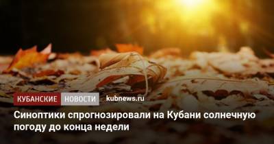 Синоптики спрогнозировали на Кубани солнечную погоду до конца недели - kubnews.ru - Россия - Краснодарский край