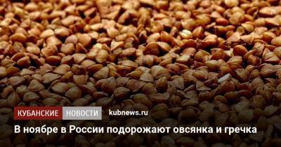 В ноябре в России подорожают овсянка и гречка - kubnews.ru - Россия