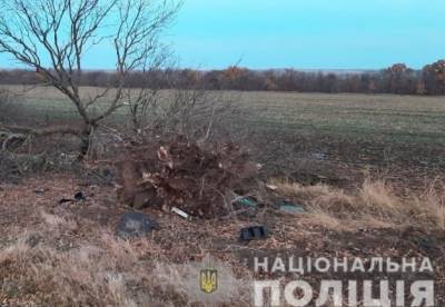 В Херсонской области в ДТП погибли четыре человека: за рулем был подросток - facenews.ua - Украина - Херсонская обл. - район Бериславский