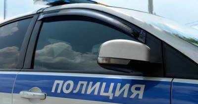 Семь человек задержали после массовой драки в Москве - ren.tv - Москва