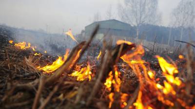 Пожарные Астраханской области более 70 раз выезжали тушить горящую траву и камыш - astrakhanfm.ru - Россия - Астраханская обл.