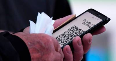 Александр Гинцбург - Систему QR-кодов предложили ввести на долгое время - moslenta.ru - Москва