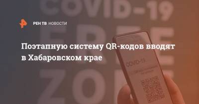 Поэтапную систему QR-кодов вводят в Хабаровском крае - ren.tv - Москва - Московская обл. - Нижегородская обл. - Хабаровский край - Воронежская обл. - Курская обл. - Пермский край - Самарская обл. - Новгородская обл. - Норильск