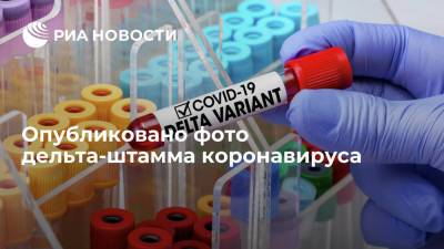 Центр "Вектор" впервые опубликовал фото дельта-штамма коронавируса - ria.ru - Москва - Россия