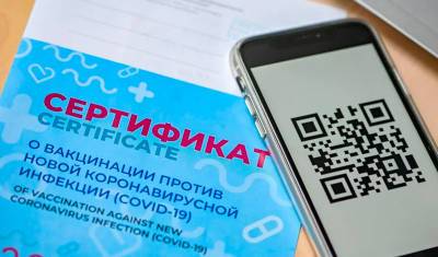 Александр Гинцбург - Александр Гинцбург: большинство заболевших ковидом купили сертификат - newizv.ru - Москва - Россия