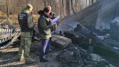 Задержанным по делу о взрыве на заводе под Рязанью предъявили обвинение - iz.ru - Россия - Израиль - Рязанская обл. - Рязань