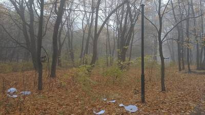 В Орле вандалы разрушили парк Ботаника на более чем 220 тысяч рублей - 7info.ru