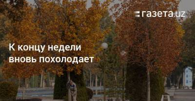 К концу недели вновь похолодает - gazeta.uz - Узбекистан
