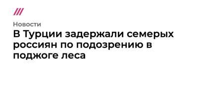В Турции задержали семерых россиян по подозрению в поджоге леса - tvrain.ru - Турция