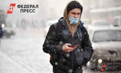 В Тюменской области ожидаются ночные снегопады - fedpress.ru - Россия - Тюмень - Тюменская обл.