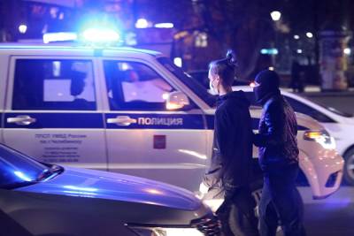 На Урале полиция отказалась возбуждать дело об убийстве собаки и ее щенков - znak.com - Челябинская обл.