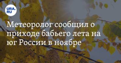 Александр Шувалов - Метеоролог сообщил о приходе бабьего лета на юг России в ноябре - ura.news - Россия - Крым - Краснодар - Симферополь - Кубань - Ставрополье