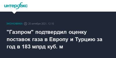 Елена Бурмистрова - "Газпром" подтвердил оценку поставок газа в Европу и Турцию за год в 183 млрд куб. м - interfax.ru - Москва - Турция
