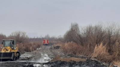 На юге Екатеринбурга потушили торфяной пожар, из-за которого стоял смог - znak.com - Екатеринбург - Свердловская обл.