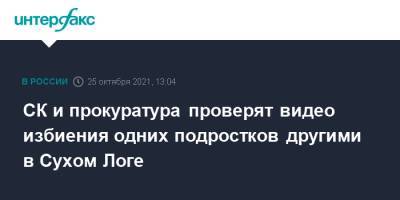 СК и прокуратура проверят видео избиения одних подростков другими в Сухом Логе - interfax.ru - Москва - Свердловская обл.
