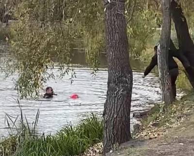 Девочка упала в озеро в Киеве, полицейские бросились на помощь: видео с места - politeka.net - Украина - Киев