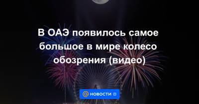 В ОАЭ появилось самое большое в мире колесо обозрения (видео) - news.mail.ru - Эмираты - Dubai