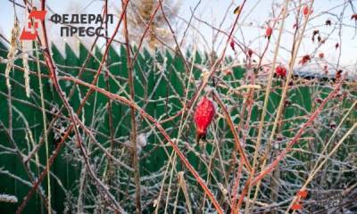Гидрометцентр Роман Вильфанд - На запад Сибири надвигаются морозы - fedpress.ru - Россия - респ. Алтай - Новосибирская обл. - Томск