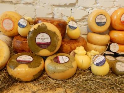 Липецкие сыры могут стать «Вкусом России» - lipetskmedia.ru - Россия - Липецкая обл.