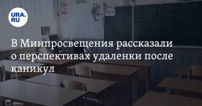 Владимир Путин - Сергей Кравцов - В Минпросвещения рассказали о перспективах удаленки после каникул - ura.news - Россия