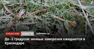 До -2 градусов: ночные заморозки ожидаются в Краснодаре - kubnews.ru - Краснодарский край - Краснодар