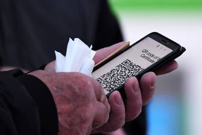 Михаил Развожаев - В Севастополе установят блокпосты для проверки QR-кодов у въезжающих - lenta.ru - Крым - Севастополь