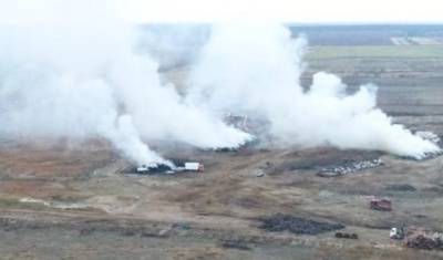 В Тюмени уничтожили около полутора тысяч птиц из частных домов - nashgorod.ru - Тюмень - Тюменская обл. - Югра - окр. Янао