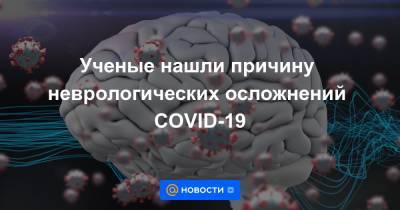 Ученые нашли причину неврологических осложнений COVID-19 - news.mail.ru - Германия - Франция