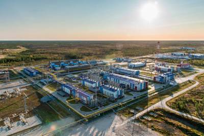 Елена Бурмистрова - В «Газпроме» назвали причину роста цен на газ - lenta.ru