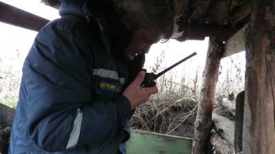 Грибники нашли в лесу под Воронежем 14 немецких миномётных мин - vestivrn.ru - Воронеж