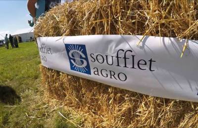 Soufflet: 2020/21 сезон стал одним из самым тяжелых - agroportal.ua - Украина - Франция