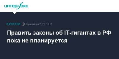 Василий Пискарев - Править законы об IT-гигантах в РФ пока не планируется - interfax.ru - Москва - Россия