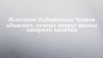 Исполком Набережных Челнов объяснил, почему вокруг школы заварили калитки - chelny-izvest.ru - Набережные Челны