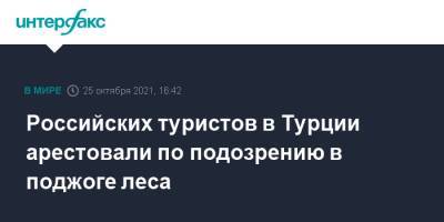 Российских туристов в Турции арестовали по подозрению в поджоге леса - interfax.ru - Москва - Россия - Турция - Анталья