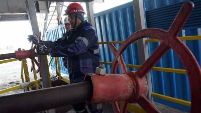 Госдеп назвал Россию единственным способным помочь Европе поставщиком газа - iz.ru - Россия - США - Израиль