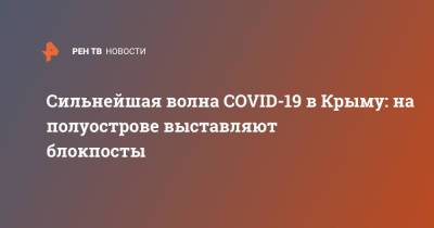 Сильнейшая волна COVID-19 в Крыму: на полуострове выставляют блокпосты - ren.tv - Крым - Сочи - Египет - Симферополь - Турция - Стамбул