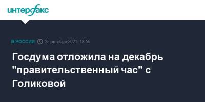 Владимир Путин - Татьяна Голикова - Вячеслав Володин - Игорь Краснов - Госдума отложила на декабрь "правительственный час" с Голиковой - interfax.ru - Москва - Россия