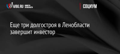 Еще три долгостроя в Ленобласти завершит инвестор - ivbg.ru - Украина - Ленинградская обл. - Всеволожск