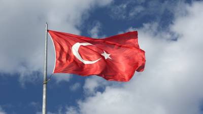 Тайип Эрдоган - Осман Кавала - Эрдоган прокомментировал ситуацию с высылкой десяти послов из Турции - russian.rt.com - Турция