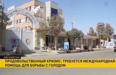 Афганистану грозит продовольственный кризис. Талибы просят помощи - grodnonews.by - Белоруссия - Афганистан - Талибан - Продовольствие